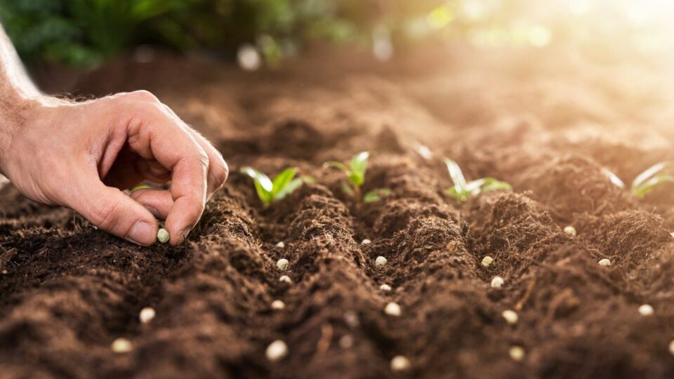 Laudato si’ Centar za visoko obrazovanje: Jubilarna godina predanosti