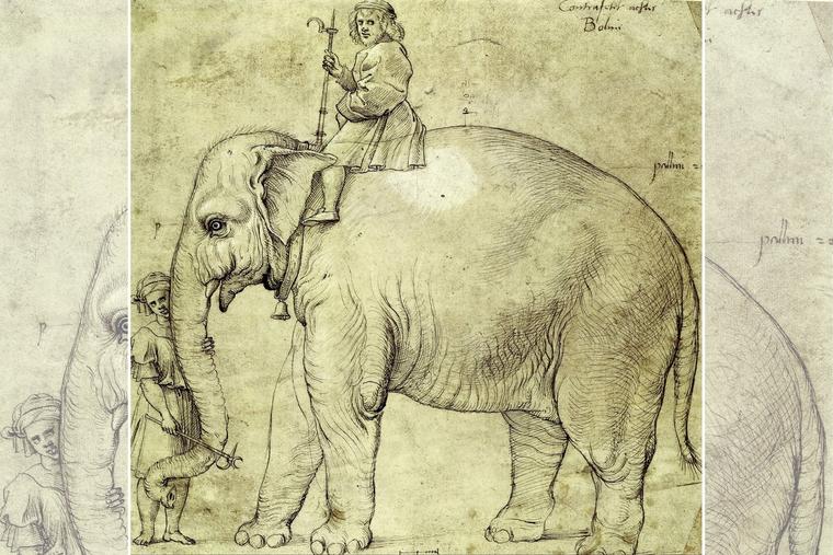 Najpoznatiji dar bijelog slona u povijesti dat je papi