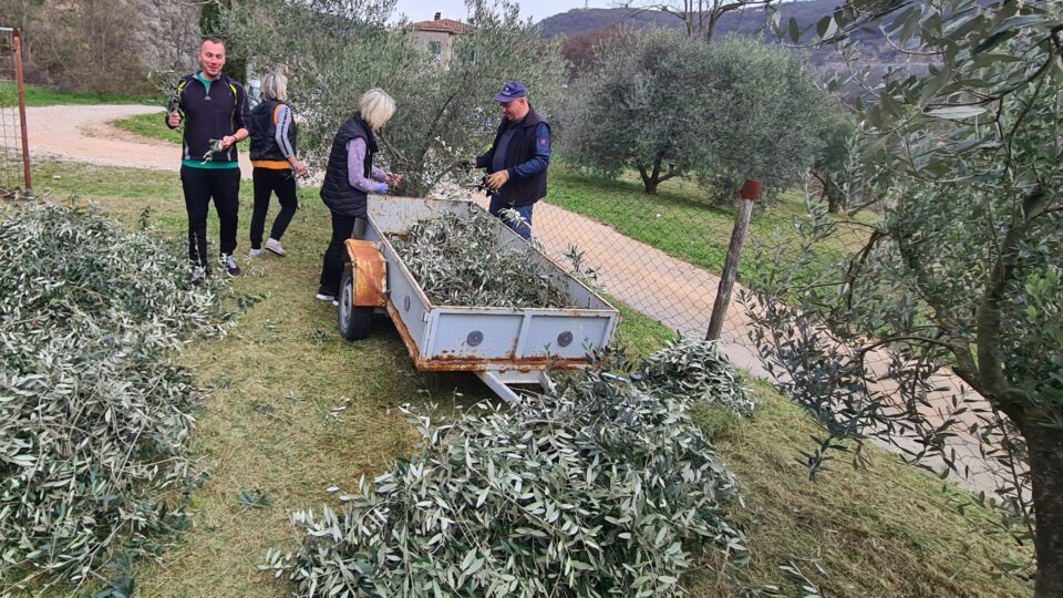 Završena akcija „Maslinova grančica – moj dar za misije“