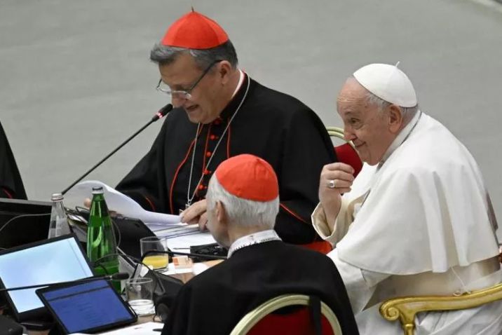Kontroverzni komentari kardinala Grecha dodaju popis zabrinutosti u postsinodalnim studijskim grupama