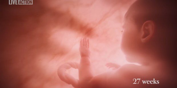 Novi zakon Tennesseeja zahtijeva video o razvoju fetusa u školi