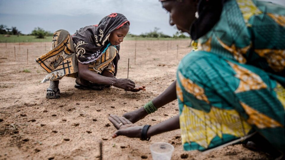 Papa poziva na održivi ljudski razvoj u zapadnoj Africi