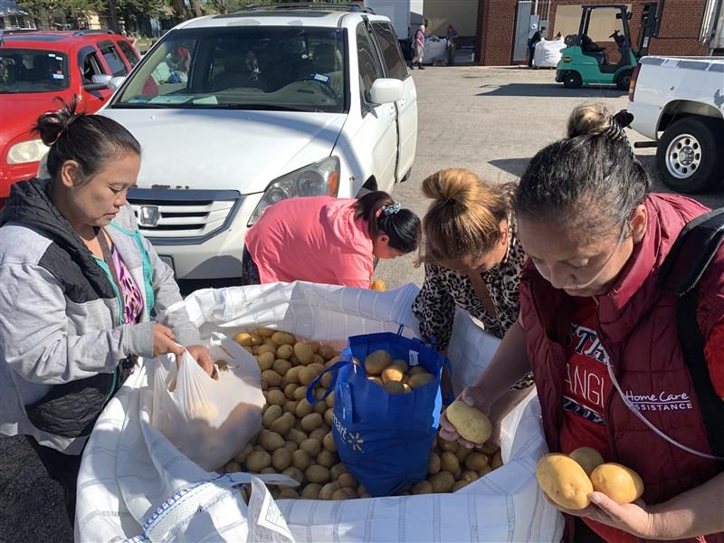 ‘Dođi i uzmi’: Teksaška katolička dobrotvorna organizacija dijeli gotovo 50.000 funti krumpira