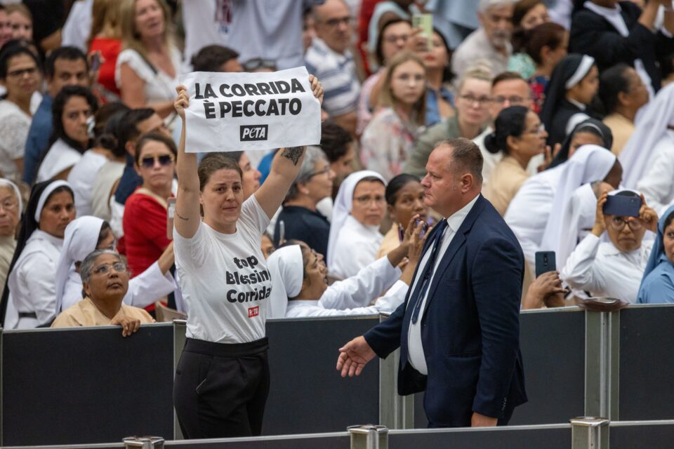 Aktivisti za prava životinja mole papu Franju da prekine borbe s bikovima