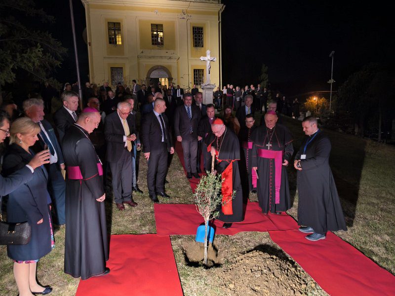 U Srijemskim Karlovcima proslavljena 325. obljetnica Karlovačkog mira