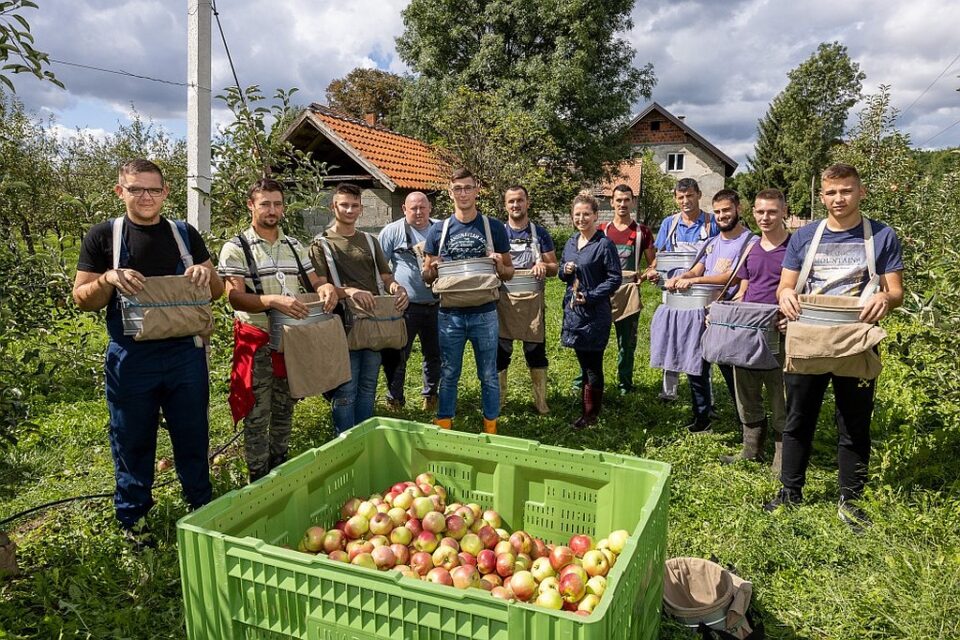 Otvorene prijave za sudjelovanje na ovogodišnjem ciklusu edukacije projekta „Iuvenes fructus“