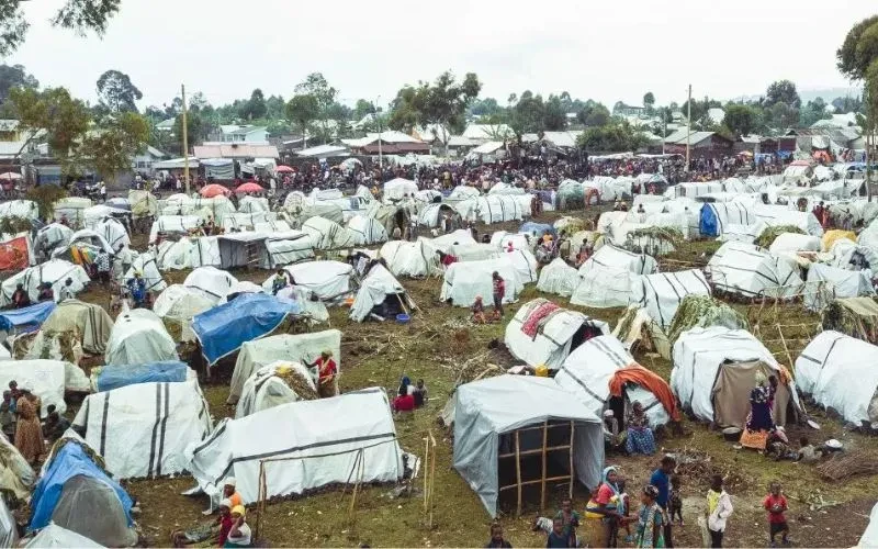 Dok borbe protiv bijesa u istočnom dr. Kongu, katolička dobrotvorna organizacija povećava humanitarni odgovor