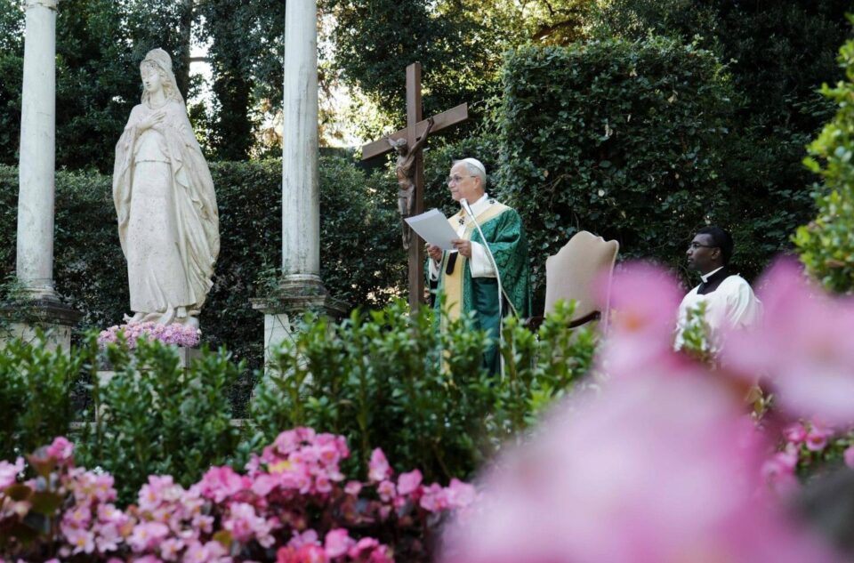 Papa na misi za brigu o stvaranju: Ekološka kriza zahtijeva kontemplativni pogled – Vatikanska vijest
