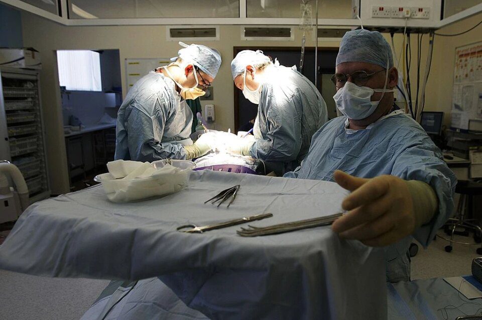 Istraga HHS -a izlaže ‘zastrašujuće’ etičke neuspjehe u sustavu za transplantaciju organa