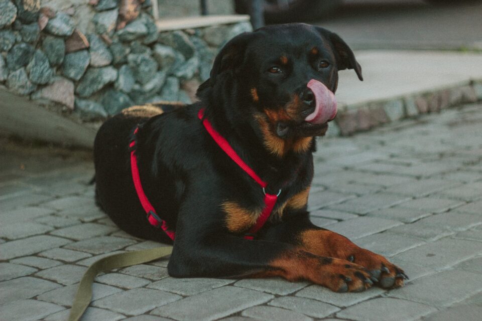 Utjecaj na okoliš