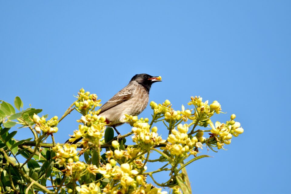 Baci sjeme i ode spavati, a sjeme raste — sam ne zna kako | HKM